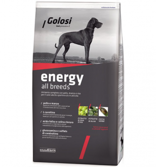 Golosi Energy Adult Tavuk ve Sığır Etli 12 Kg Köpek Maması kullananlar yorumlar